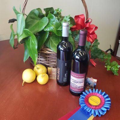 Best of Class and Best of Show, 2021 Amateur Wine Competition